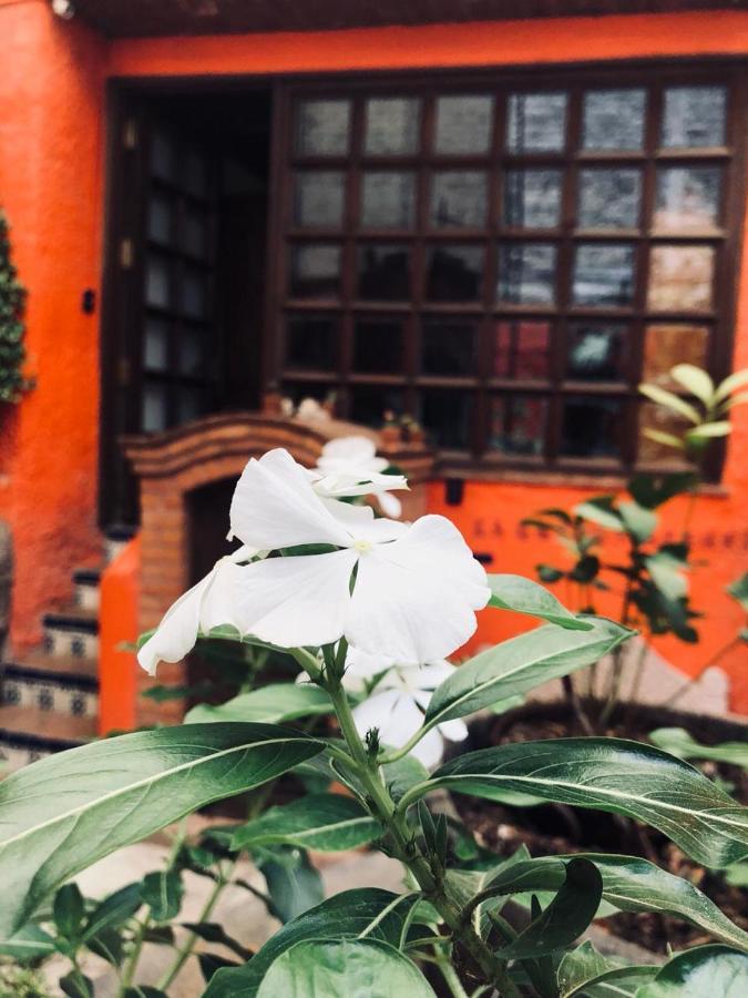 Casa Azul Guanajuato Exterior foto